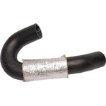 Order Lower Radiator Or Coolant Hose by CONTINENTAL - 66216 For Your Vehicle