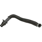 Order Lower Radiator Or Coolant Hose by CONTINENTAL - 66450 For Your Vehicle