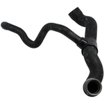 Order Lower Radiator Or Coolant Hose by CRP/REIN - CHR0104R For Your Vehicle