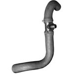 Order Lower Radiator Or Coolant Hose by DAYCO - 71875 For Your Vehicle