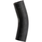 Order Lower Radiator Or Coolant Hose by DAYCO - 72022 For Your Vehicle