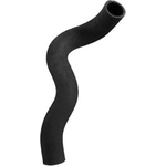 Order Lower Radiator Or Coolant Hose by DAYCO - 72509 For Your Vehicle