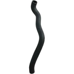 Order Lower Radiator Or Coolant Hose by DAYCO - 72559 For Your Vehicle