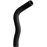 Order Lower Radiator Or Coolant Hose by DAYCO - 72601 For Your Vehicle