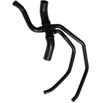 Order Lower Radiator Or Coolant Hose by DAYCO - 72698 For Your Vehicle