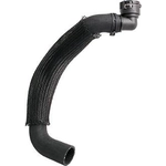 Order Lower Radiator Or Coolant Hose by DAYCO - 72901 For Your Vehicle