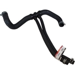 Order Lower Radiator Or Coolant Hose by MOTORCRAFT - KM4348 For Your Vehicle
