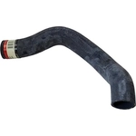 Order Lower Radiator Or Coolant Hose by MOTORCRAFT - KM2831 For Your Vehicle
