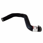 Order Lower Radiator Or Coolant Hose by MOTORCRAFT - KM5062 For Your Vehicle