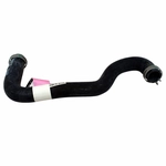 Order Lower Radiator Or Coolant Hose by MOTORCRAFT - KM5066 For Your Vehicle