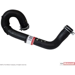 Order Lower Radiator Or Coolant Hose by MOTORCRAFT - KM5101 For Your Vehicle