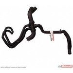 Order Lower Radiator Or Coolant Hose by MOTORCRAFT - KM5105 For Your Vehicle