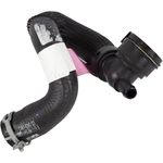 Order Lower Radiator Or Coolant Hose by MOTORCRAFT - KM5131 For Your Vehicle