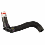 Order Lower Radiator Or Coolant Hose by MOTORCRAFT - KM5177 For Your Vehicle