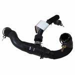 Order Lower Radiator Or Coolant Hose by MOTORCRAFT - KM5199 For Your Vehicle