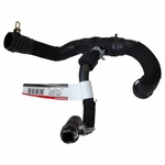 Order Lower Radiator Or Coolant Hose by MOTORCRAFT - KM5199 For Your Vehicle