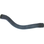 Order Lower Radiator Or Coolant Hose by URO - 1075010982 For Your Vehicle