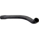 Order Lower Radiator Or Coolant Hose by URO - 1075010982 For Your Vehicle