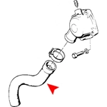 Order Lower Radiator Or Coolant Hose by URO - 11531289859 For Your Vehicle
