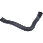 Order Lower Radiator Or Coolant Hose by URO - 11531741409 For Your Vehicle