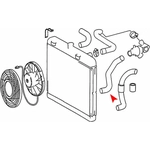 Order Lower Radiator Or Coolant Hose by URO - 1235011882 For Your Vehicle