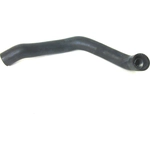 Order URO - 2025015182 - Radiator Hose For Your Vehicle