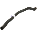 Order Lower Radiator Or Coolant Hose by URO - 31319446 For Your Vehicle