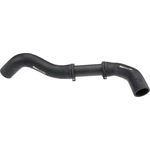 Order URO - C2C9778 - Radiator Hose For Your Vehicle