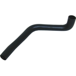 Order Lower Radiator Or Coolant Hose by URO - C2N1173 For Your Vehicle