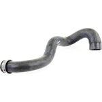 Order Lower Radiator Or Coolant Hose by VAICO - V30-1919 For Your Vehicle