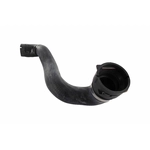 Order Lower Radiator Or Coolant Hose by VAICO - V30-1459 For Your Vehicle