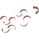 Order Main Bearing by ACDELCO - 12729655 For Your Vehicle