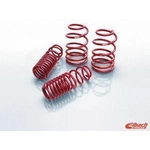 Order Major Suspension Kit by EIBACH - 4.1035 For Your Vehicle