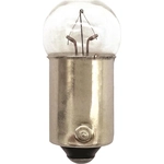 Order HELLA - 53 - Instrument Panel Light Bulb For Your Vehicle