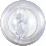 Order Map Light by PHILIPS - 168LLB2 For Your Vehicle