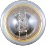 Order Map Light by PHILIPS - 631B2 For Your Vehicle