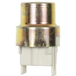 Order Microprocessor Relay by BLUE STREAK (HYGRADE MOTOR) - RY51 For Your Vehicle