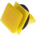 Order Retenue ou clip de moulure de DORMAN - 963-217D For Your Vehicle