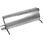 Order Stainless Steel Muffler - WALKER USA - 21384 For Your Vehicle