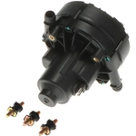 Order BLUE STREAK (HYGRADE MOTOR) - AIP32 - New Air Pump For Your Vehicle