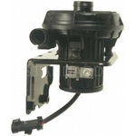 Order New Air Pump by BLUE STREAK (HYGRADE MOTOR) - AIP2 For Your Vehicle