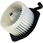 Order New Blower Motor by GLOBAL PARTS DISTRIBUTORS - 2311651 For Your Vehicle