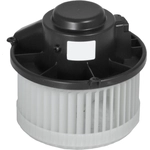 Order New Blower Motor by GLOBAL PARTS DISTRIBUTORS - 2311699 For Your Vehicle