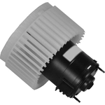 Order New Blower Motor by GLOBAL PARTS DISTRIBUTORS - 2311778 For Your Vehicle