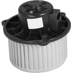 Order New Blower Motor by GLOBAL PARTS DISTRIBUTORS - 2311782 For Your Vehicle