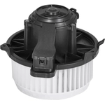 Order New Blower Motor by GLOBAL PARTS DISTRIBUTORS - 2311823 For Your Vehicle