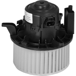 Order New Blower Motor by GLOBAL PARTS DISTRIBUTORS - 2311830 For Your Vehicle