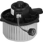 Order New Blower Motor by GLOBAL PARTS DISTRIBUTORS - 2311857 For Your Vehicle