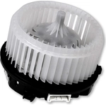 Order New Blower Motor by GLOBAL PARTS DISTRIBUTORS - 2311939 For Your Vehicle