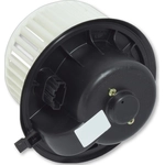 Order New Blower Motor by GLOBAL PARTS DISTRIBUTORS - 2311948 For Your Vehicle